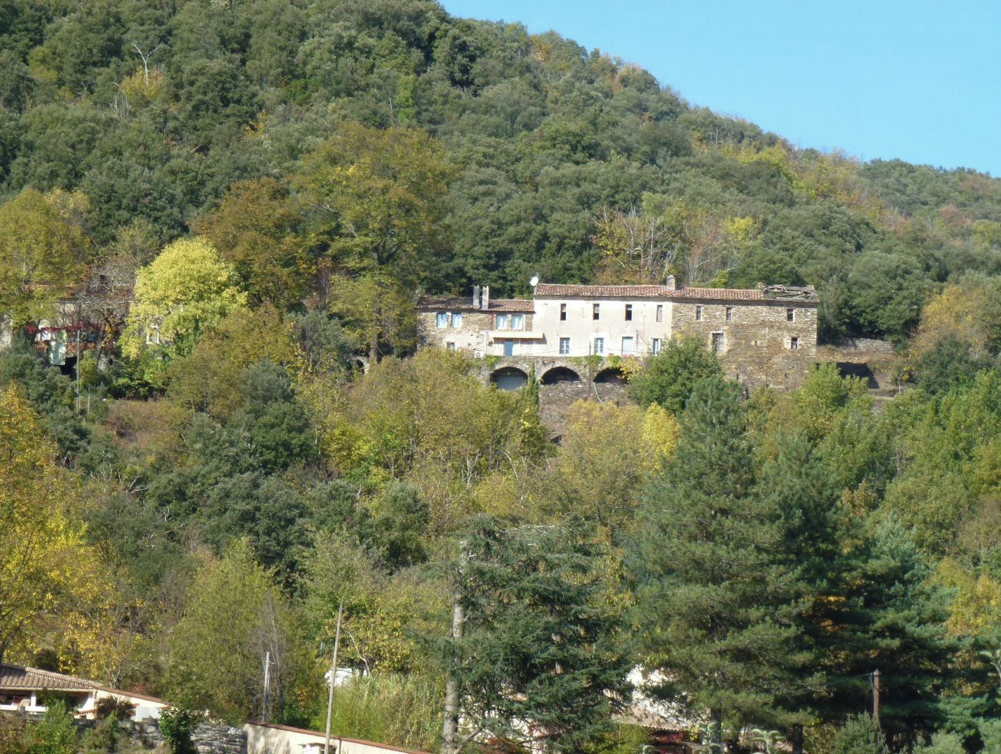 A stone building with multiple windows and a bridge, surrounded by dense forest.