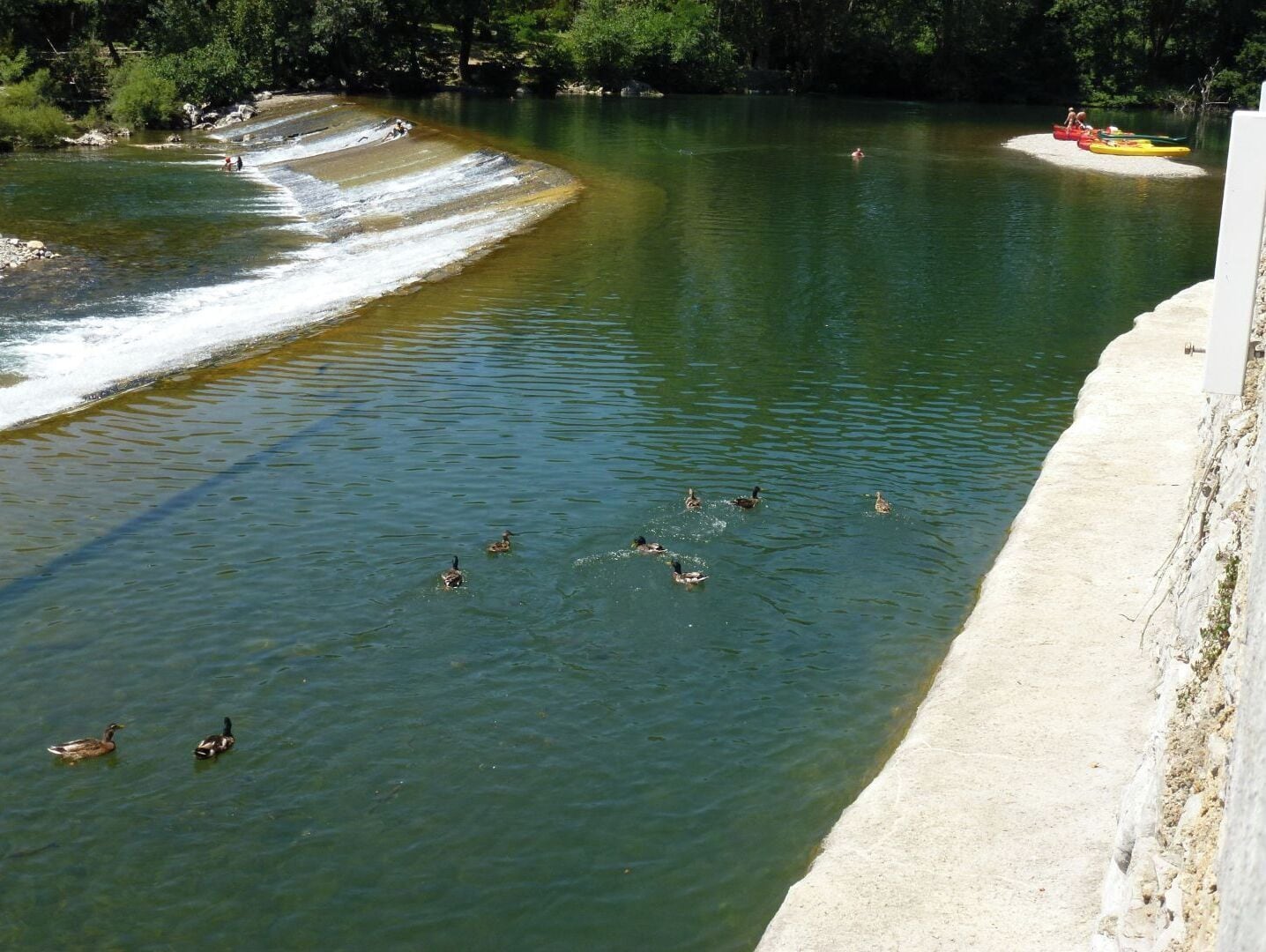 Une rivière où nagent des canards, une plage de sable et un petit bateau.