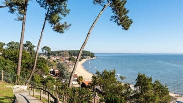 Eine Küstenlandschaft mit Strand, Bäumen und blauem Himmel.