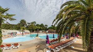 Ein Poolbereich mit Liegestühlen und Sonnenschirmen, umgeben von Palmen und blauem Himmel.