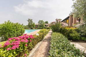 A pathway leading to a swimming pool surrounded by lush greenery and flowering plants.