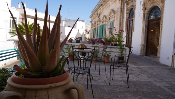 Un patio con una planta en maceta, mobiliario exterior y un edificio con ventanas de arco.