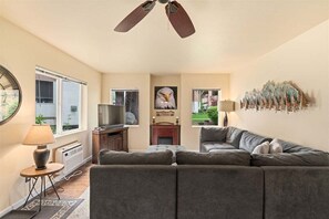 Smart TV, fireplace, books