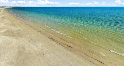 Pet Paradise! Fenced Yard + Steps to Beach + Outdoor Shower + Beach Gear