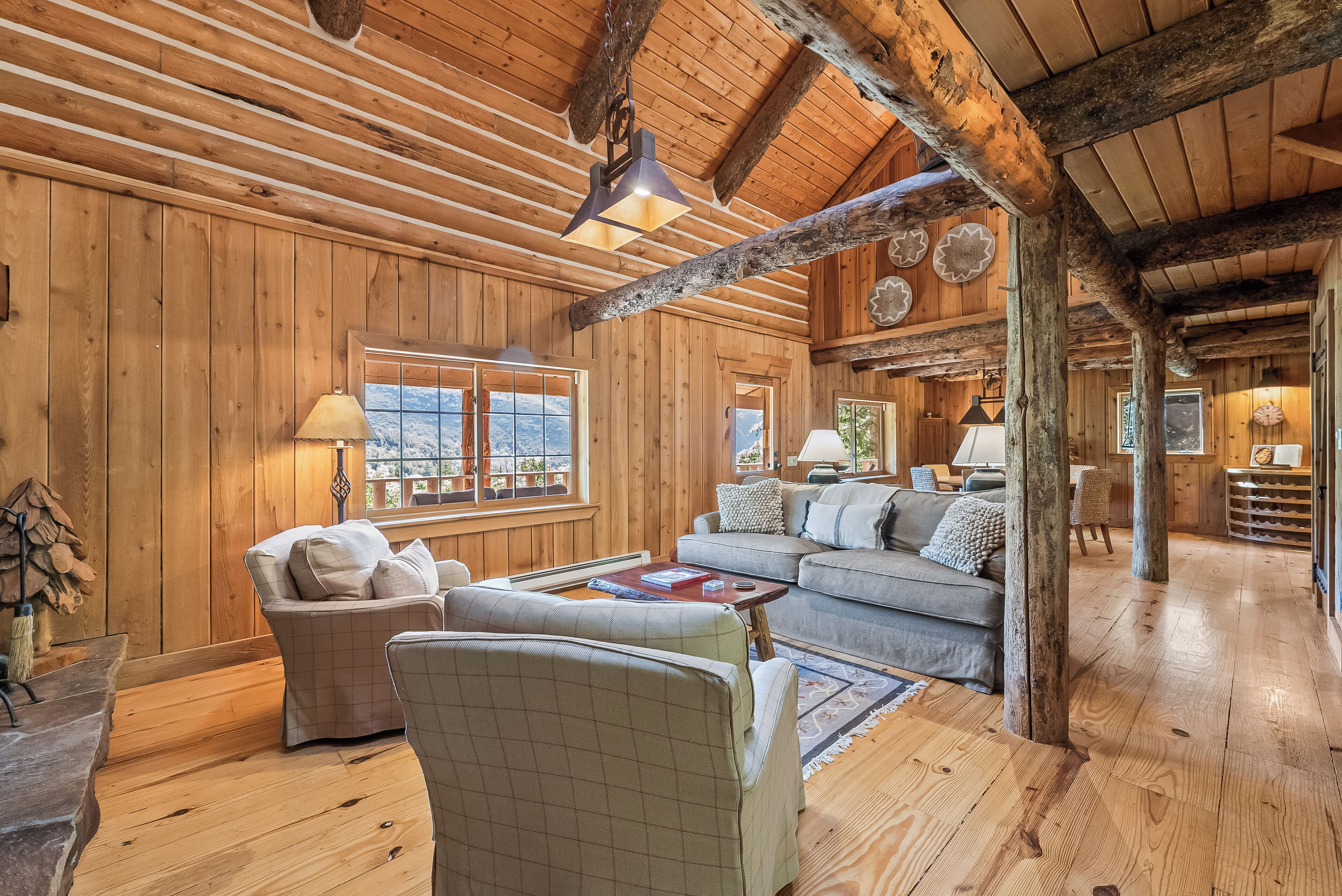 Televisión, chimenea, reproductor de DVD y videoteca 