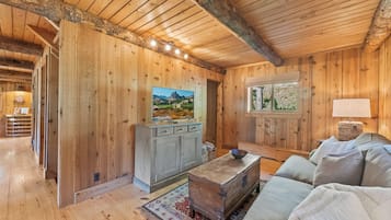 Televisión, chimenea, reproductor de DVD y videoteca