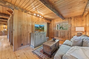 Televisión, chimenea, reproductor de DVD y videoteca