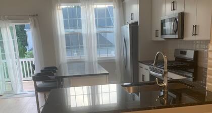 Relax in an upscale modern new town house. 10 minutes from Dulles Int'l Airport.