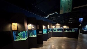 Una exhibición de acuario en interiores con varios tanques, cada uno identificado con placas informativas.