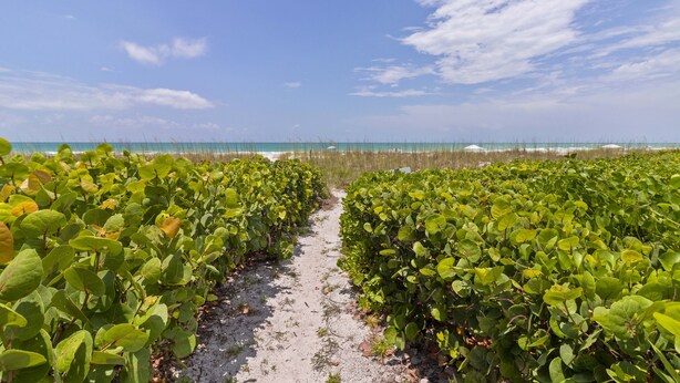 Property grounds - Steps to the Sand: Gulfside 2BR at Whitney Beach w Pool & Sunset Views by RVA (Longboat Key)