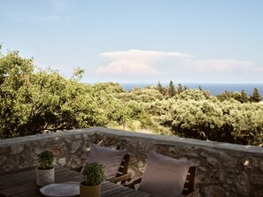 Traditional House | Terrace/patio