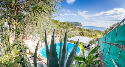 FerienhÀuschen mit Meerblick - GartenhÀuschen