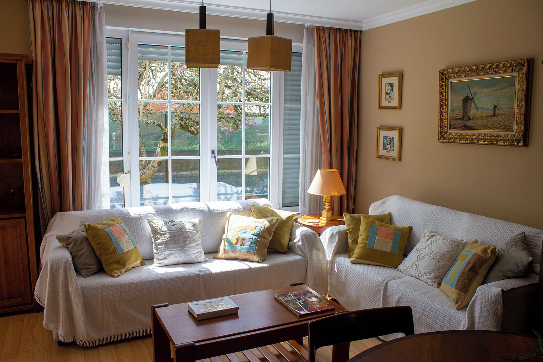 智能电视、壁炉、DVD 播放器、书