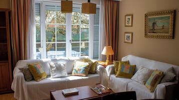 智能电视、壁炉、DVD 播放器、书