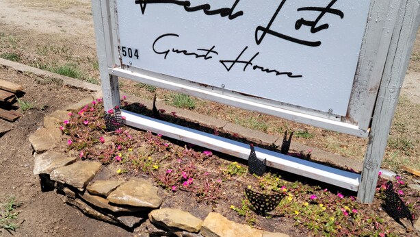 Señal para 'Fred Lot Guest House' con el número '504' y un jardín con flores y rocas.