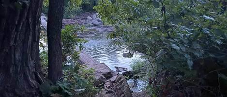 Un paisaje natural con un arroyo, árboles y rocas.