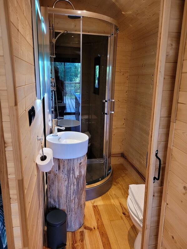 Shower, towels, toilet paper