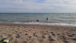 Une plage de sable avec des empreintes de pas et une planche de surf.