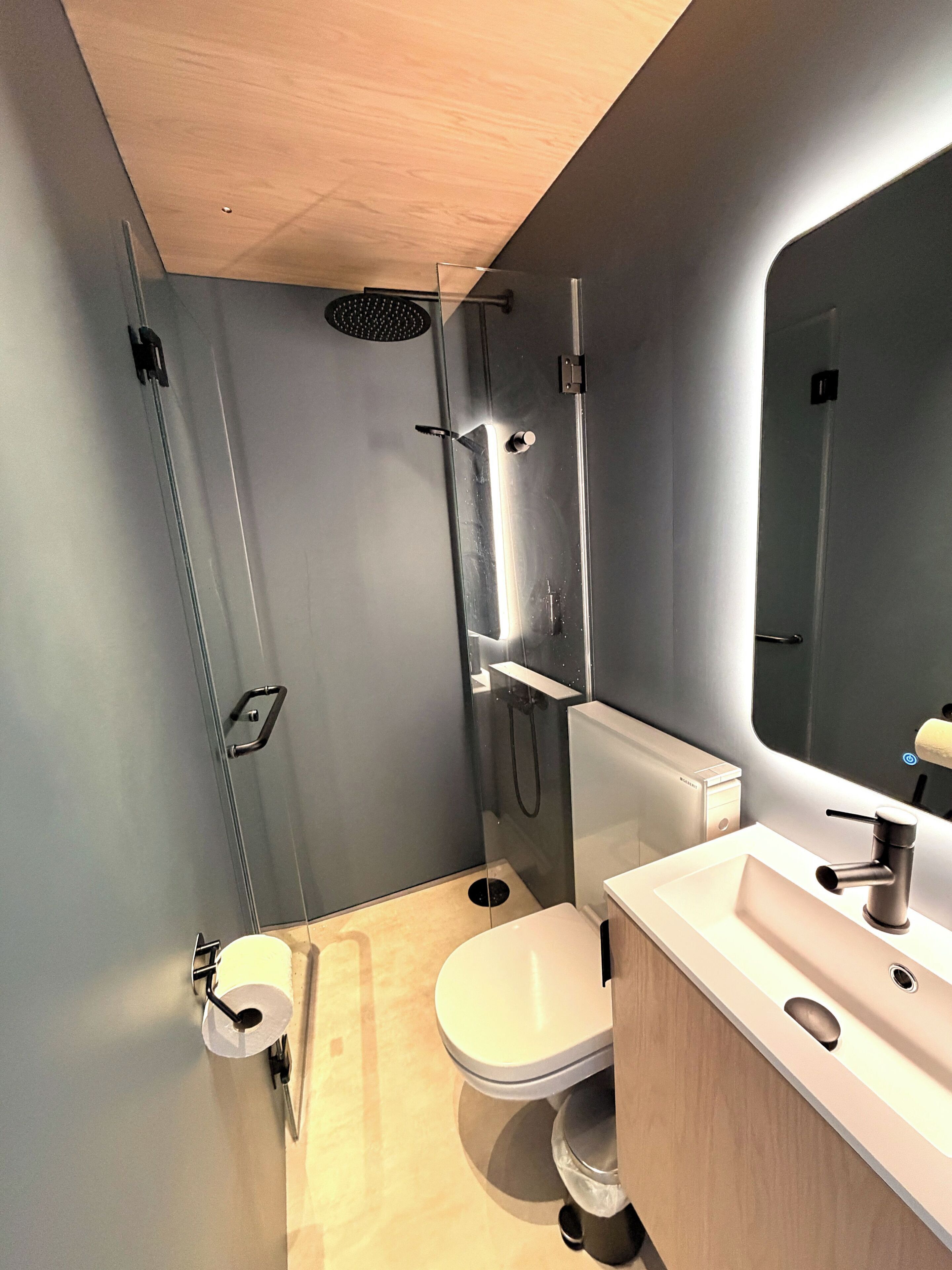 A modern bathroom with a shower, toilet, and sink.