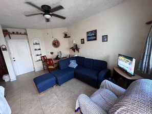 Smart TV, reproductor de DVD, libros y estéreo 