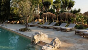 Zona de piscina con sillones, una piscina y jardines tropicales.