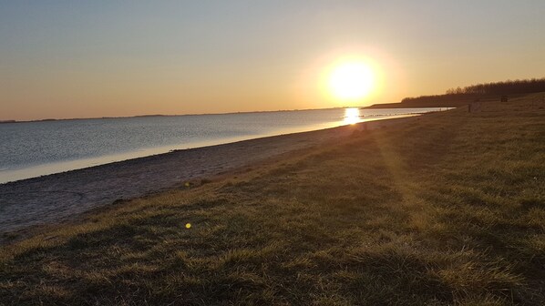 Plage, chaises longues
