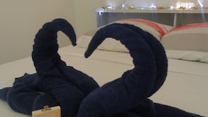 1 chambre, fer et planche à repasser, Wi-Fi, draps fournis