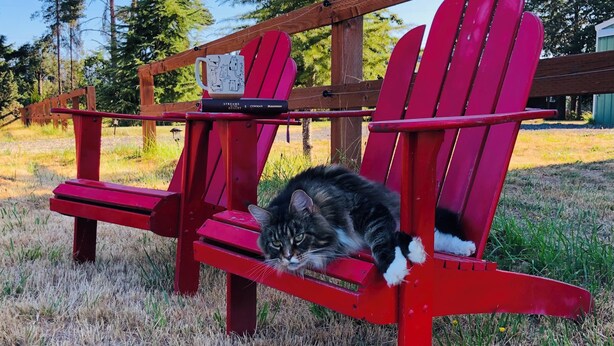 Ein roter Adirondack-Sessel mit einer Katze darauf, eine Tasse mit einem Cartoon-Motiv und ein Buch mit dem Titel 'Streams Desert 9' auf dem Tisch.