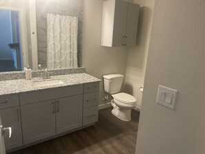 Combined shower/tub, hair dryer, towels, toilet paper - HTX Lovely 1 Bedroom Condo with Pool (Houston)