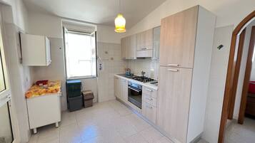 Fridge, oven, stovetop, cookware/dishes/utensils