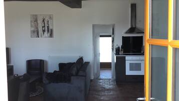 TV, DVD player, ping pong, books