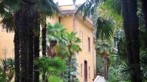 Um edifício amarelo com escadas que levam a uma porta, rodeado por palmeiras e vegetação.