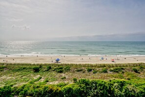 Une plage avec une clôture, une structure bleue et des gens.