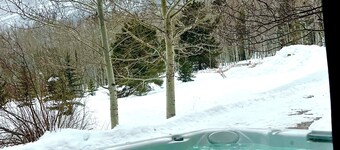 Beautiful Cliff view in Durango HotTub hiking 5/3 Sleeps 16 allows pets plus AC