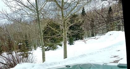 Beautiful Cliff view in Durango HotTub hiking 5/3 Sleeps 16 allows pets plus AC