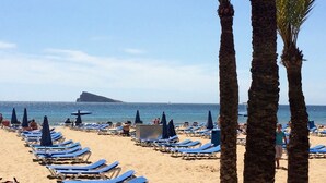 Une plage bordée de rangées de chaises longues bleues et de palmiers.