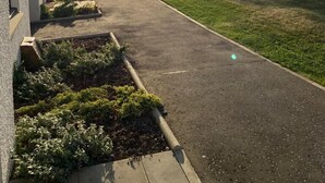 A residential street with houses, a sidewalk, and a grassy area. - 3 bed (2 bath) whole home with free parking - 3 miles from Edinburgh airport (Edinburgh)