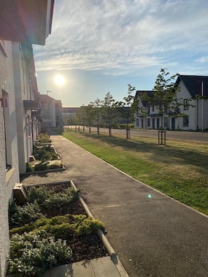 A residential street with houses, a sidewalk, and a grassy area.