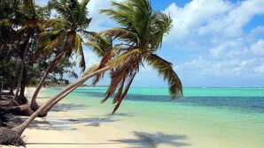 Een strand met palmbomen, helder turquoise water en een zandstrand.