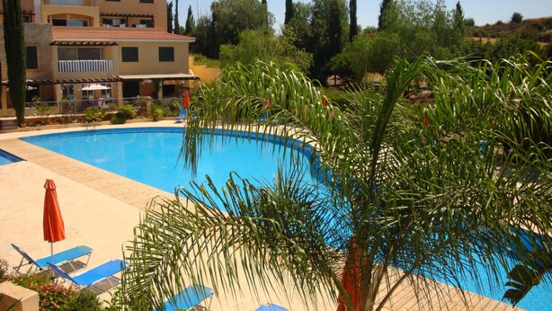 Una piscina rodeada de palmeras y sillas de descanso.