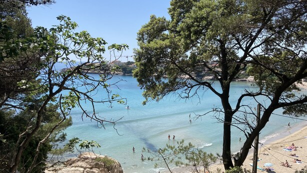 A beach with clear water, people swimming, and trees in the foreground.