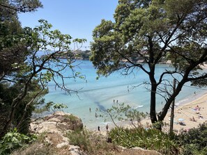 A beach with clear water, people swimming, and trees in the foreground.