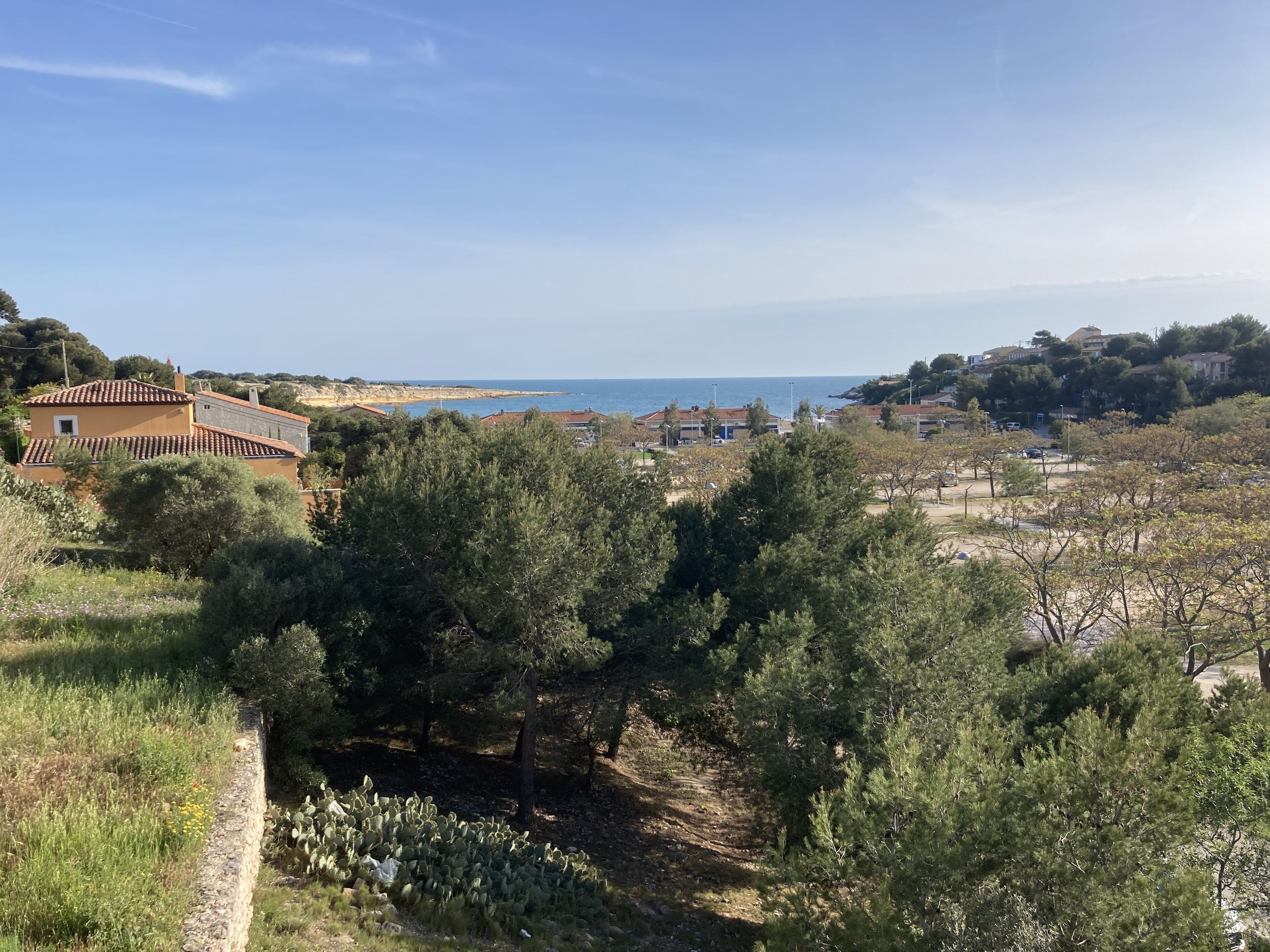 A coastal residential area with houses, trees, and a clear view of the sea.