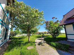 A pathway leading through a green area with trees and a building with a blue and white facade.