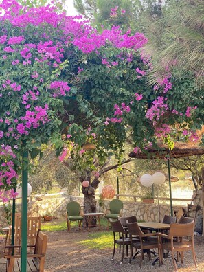 Exterior - Belfin Pansiyon (Datça)