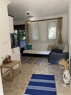 Lägenhet Basic - 1 dubbelsäng med bäddsoffa - utsikt mot trädgården | Vardagsrum | 56-centimeters LCD-tv med satellitkanaler och tv