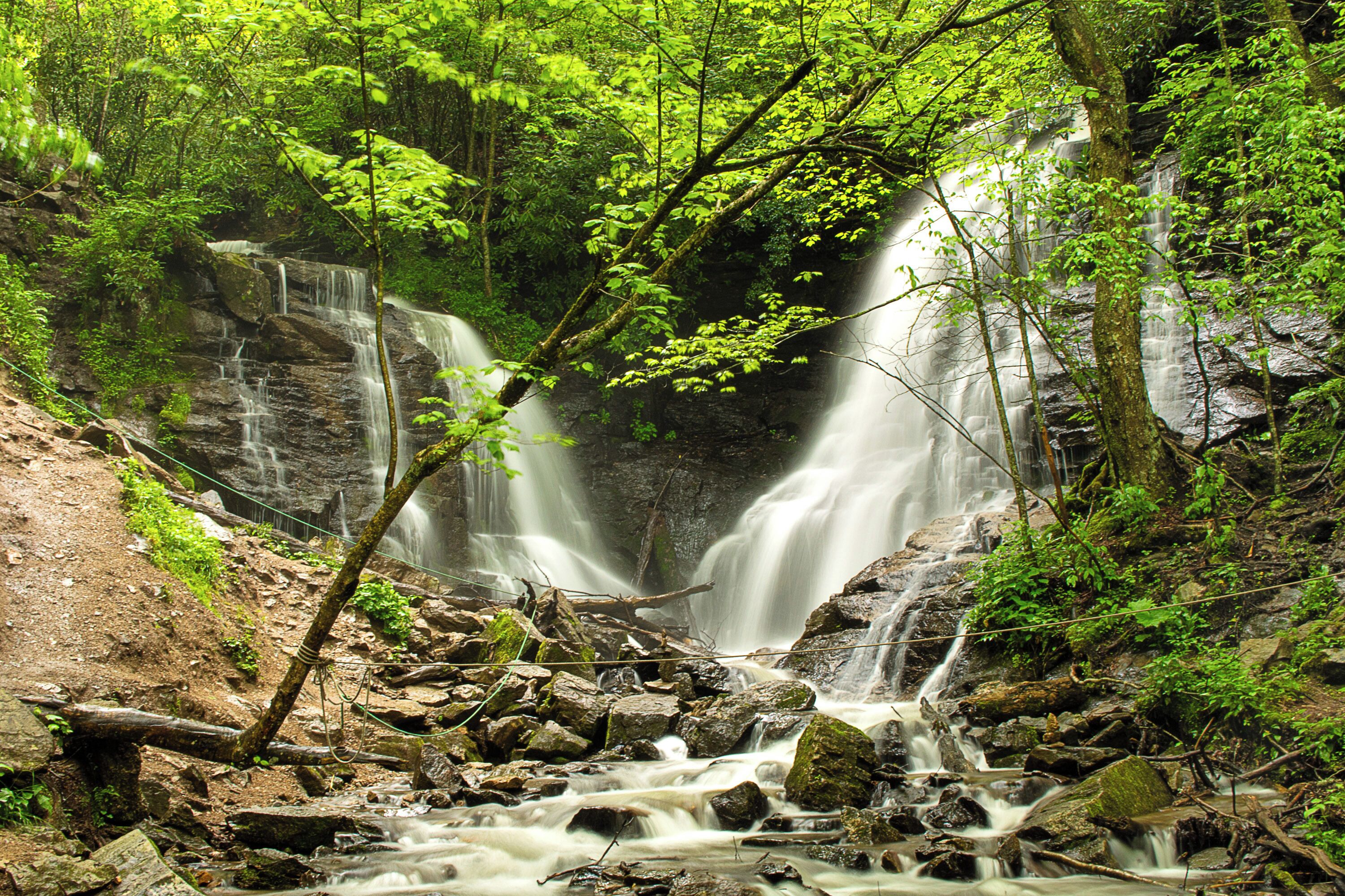 A waterfall surrounded by dense forest.