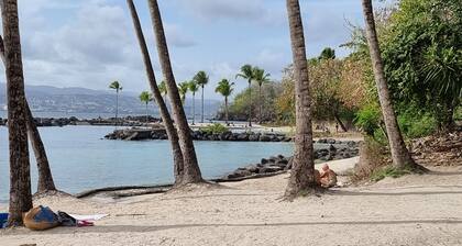 Spacious studio with terrace in the Village Créole