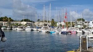 Un puerto deportivo con varias embarcaciones amarradas, un edificio de fachada blanca y palmeras al fondo.