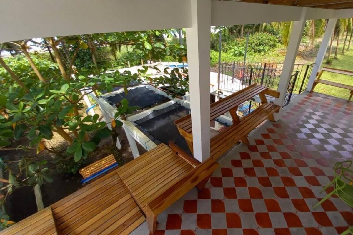 A covered outdoor area with a checkered floor, wooden benches, and a view of a pool and greenery.